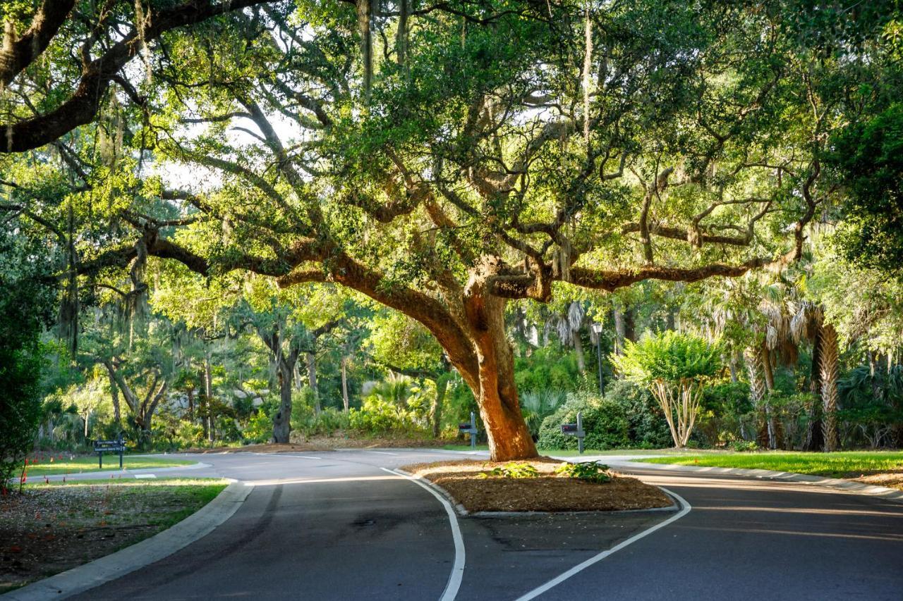 1313 Pelican Watch - Seabrook Island - Beachfront 5 Star Condo - Fido Friendly Экстерьер фото