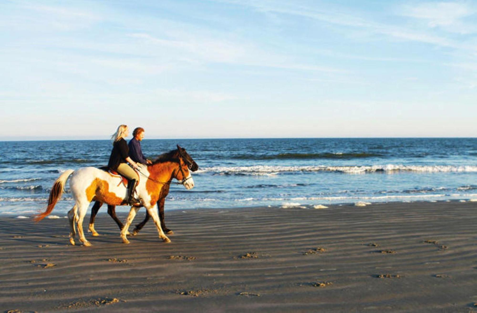 1313 Pelican Watch - Seabrook Island - Beachfront 5 Star Condo - Fido Friendly Экстерьер фото